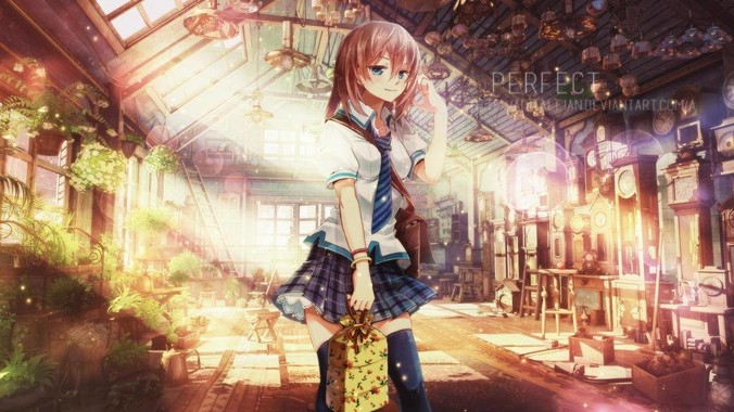 鸿蒙电脑应用开发和鸿蒙手机是一样的吗？