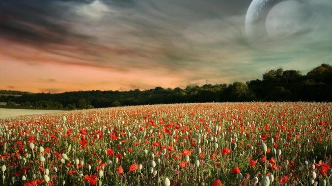 为什么会有 U 盘独个文件不可以超过 4GB 这种设定？